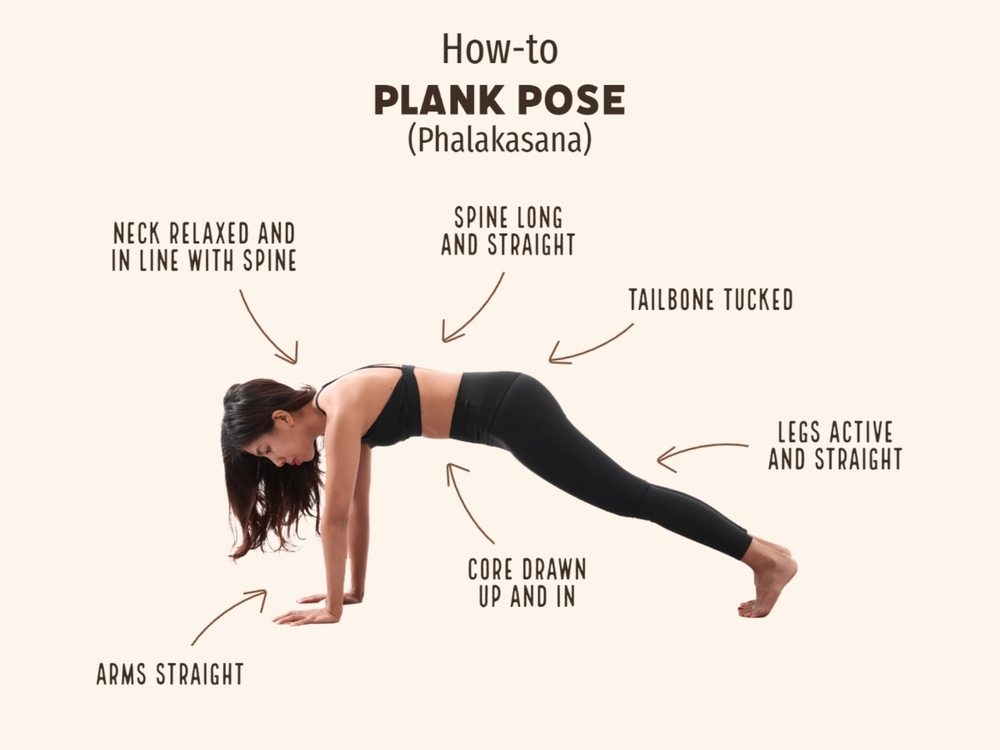 Plank Pose ( Phalakasana )